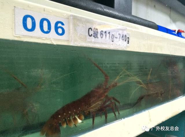 说明:微信图片_20171011204425