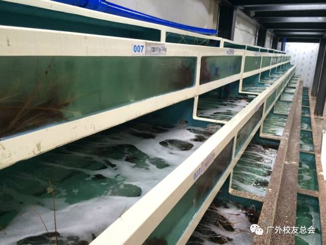 说明:微信图片_20171011204432