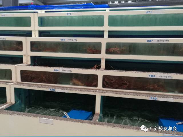 说明:微信图片_20171011204428