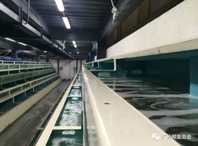 说明:微信图片_20171011204435